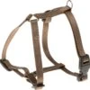 Adori Harnas Nylon Bruin – Hondenharnas – A 36-56 B 44-72×1.5 Cm