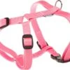 Adori Harnas Nylon Roze – Hondenharnas – A 20-32 B 25-38×1.0 Cm -Optimaal Hondenspullen Winkel Adori Harnas Nylon Roze Hondenharnas a 20 32 b 25 38x1.0 cm