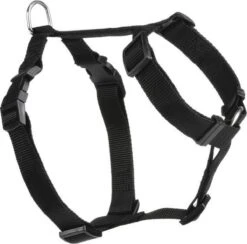 Beeztees Wandel- En Autogordel – Hond – Nylon – Zwart – 40-65 Cm