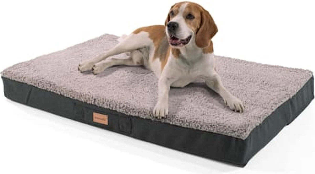 Brunolie Balu – Hondenbed – Hondenkussen – Wasbaar – Orthopedisch – Anti-slip – Ademend – Traagschuim 3 Brunolie Balu – Hondenbed – Hondenkussen – Wasbaar – Orthopedisch – Anti-slip – Ademend – Traagschuim