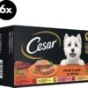 Cesar Classic Honden Natvoer Mix Multipack (6 Stuks X 4 Potjes X 150g) – 3600 Gram -Optimaal Hondenspullen Winkel Cesar Classic honden natvoer mix multipack 6 stuks x 4 potjes x 150g 3600 gram 1