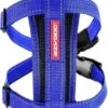 EzyDog Chest Plate Hondentuig Met Autogordel Zekering – Honden Harnas – XS – Blauw -Optimaal Hondenspullen Winkel EzyDog Chest Plate Hondentuig met Autogordel Zekering Honden Harnas XS Blauw
