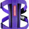 EzyDog Chest Plate Hondentuig Met Autogordel Zekering – Honden Harnas – XS – Paars -Optimaal Hondenspullen Winkel EzyDog Chest Plate Hondentuig met Autogordel Zekering Honden Harnas XS Paars