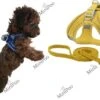 Hondenharnas | Puppy Tuigje | Geschikt Voor Teacup En Toy Breeds | Oker Geel | XXXS 2 Hondenharnas | Puppy Tuigje | Geschikt Voor Teacup En Toy Breeds | Oker Geel | XXXS -Optimaal Hondenspullen Winkel Hondenharnas Puppy Tuigje Geschikt voor teacup en toy breeds Oker Geel XXXS