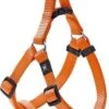 Hondentuig Ziggi Oranje – Oranje – 60 – 90 Cm X 25 Mm 2 Hondentuig Ziggi Oranje – Oranje – 60 – 90 Cm X 25 Mm -Optimaal Hondenspullen Winkel Hondentuig Ziggi Oranje Oranje 60 90 cm x 25 mm