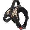 Hondentuigje – Maat S – 44/55cm Omvang – Verstelbaar – Hondentuig – Hondenharnas – Harness – Anti Trek – No Pull Harnas – Hondenhalsband – Voor Kleine/medium Honden – Tijgerprint 1 Hondentuigje – Maat S – 44/55cm Omvang – Verstelbaar – Hondentuig – Hondenharnas – Harness – Anti Trek – No Pull Harnas – Hondenhalsband – Voor Kleine/medium Honden – Tijgerprint -Optimaal Hondenspullen Winkel Hondentuigje Maat S 4455cm omvang Verstelbaar Hondentuig hondenharnas Harness Anti trek No Pull harnas Hondenhalsband Voor kleine
