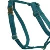 Kentucky Hondentuig Loop – Emerald L – 75-100cm -Optimaal Hondenspullen Winkel Kentucky Hondentuig Loop Emerald L 75 100cm