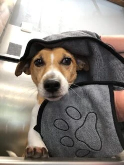 N4dogs – Hondenhanddoek – Honden Handdoek – Microvezel Handdoek – Handdoek Hond – Droogdoek Hond – Dierendeken – Sterk Absorberend – Handdoek Met Zakken – Grijs – 66 X 23 Cm