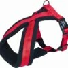 Nobby Hondentuig Comfort Soft Grip Rood – Xs/s – Buikomvang 30-40 Cm – Breedte 15/30 Mm -Optimaal Hondenspullen Winkel Nobby hondentuig comfort soft grip rood xss buikomvang 30 40 cm breedte 1530 mm