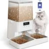 PETEMPO® Automatische Voerbak Kat – Voerautomaat – Bestuurbaar Met WiFi En Smartphone – Automatische Voerbak Voor Kat Of Hond – 5L -Optimaal Hondenspullen Winkel PETEMPO® Automatische Voerbak Kat Voerautomaat Bestuurbaar met WiFi en Smartphone Automatische Voerbak voor Kat of Hond 5L