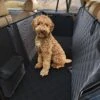 Premium Hondendeken Auto Achterbank Kijkvenster – Incl 2 Hondenriemen En E-Book – Autodeken Hond – Autobench Voor Hond – Zwart 1 Premium Hondendeken Auto Achterbank Kijkvenster – Incl 2 Hondenriemen En E-Book – Autodeken Hond – Autobench Voor Hond – Zwart -Optimaal Hondenspullen Winkel Premium Hondendeken auto achterbank kijkvenster Incl 2 hondenriemen en E Book Autodeken hond Autobench voor hond Zwart