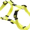 Rogz For Dogs Snake Hondentuig – Geel – 16 Mm X 32-52 Cm -Optimaal Hondenspullen Winkel Rogz For Dogs Snake Hondentuig Geel 16 mm x 32 52 cm