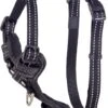 Rogz Utility Control Tuig Zwart – Hondenharnas – 32-52×1.6 Cm -Optimaal Hondenspullen Winkel Rogz Utility Control Tuig Zwart Hondenharnas 32 52x1.6 cm