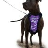 Sharon B – Hondentuig – Grote Hond – Camouflage – Paars – Hondenharnas – L – Mesh – Anti Trek Tuig – Easy Walk -Optimaal Hondenspullen Winkel Sharon B hondentuig grote hond camouflage paars hondenharnas L mesh anti trek tuig easy walk