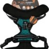 Spotted! PRO Harnas No-Pull – Hondentuigje Met QR-penning – Hondenharnas Anti Trek – Waterproof – Borstomvang 56-58 Cm – Maat S – Groen -Optimaal Hondenspullen Winkel Spotted PRO Harnas No Pull Hondentuigje met QR penning Hondenharnas anti trek Waterproof Borstomvang 56 58 cm Maat S Groen