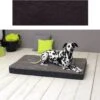 Sun Garden Buddy Orthopedisch Hondenkussen 120x72x10cm Antraciet -Optimaal Hondenspullen Winkel Sun Garden Buddy Orthopedisch Hondenkussen 120x72x10cm Antraciet 1
