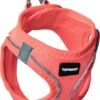 Topmast Airmesh Hondentuig – Click & Go – Roze – XS – Reflecterend – Harnas Hond – Hondentuigje – Hondenharnas – Voor Puppy, Kleine, Medium En Grote Hond -Optimaal Hondenspullen Winkel Topmast Airmesh Hondentuig Click amp Go Roze XS Reflecterend Harnas Hond Hondentuigje Hondenharnas Voor Puppy Kleine Medium en Gro