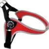 Tre Ponti Fibbia Basic Tuig Rood&Reflecterend – Hondenharnas – 35 – 49 Cm -Optimaal Hondenspullen Winkel Tre Ponti Fibbia Basic Tuig RoodampReflecterend Hondenharnas 35 49 cm