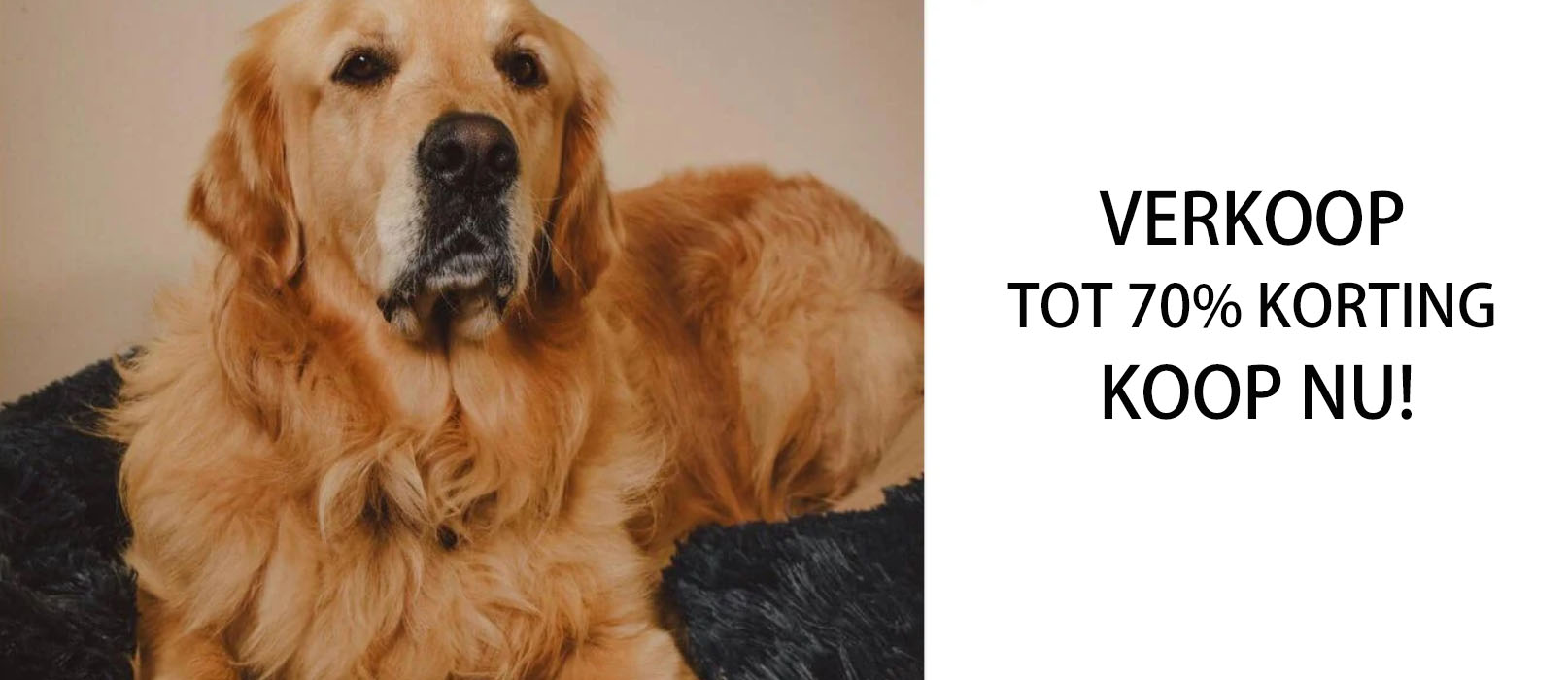 Optimaal Hondenspullen Winkel -Optimaal Hondenspullen Winkel YIYI